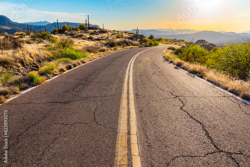 A lonely road winds through the Tonto National Forest in Arizona. photo