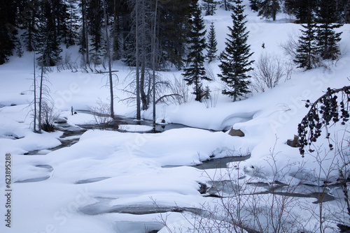 Winterscape