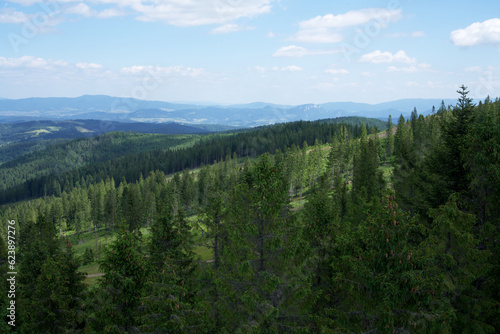 Fototapeta Naklejka Na Ścianę i Meble -  Góry, drzewa i zielona roślinność, podróże i odpoczynek w górach na łonie przyrody w ekologiczny sposób odpoczywamy aktywnie. 