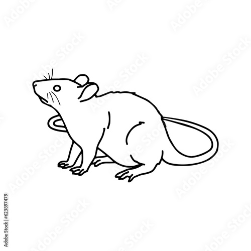 rat vector illustration with concept