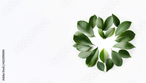 Leafy Affection: Green Leaves Formed Heart on White Background, Generative AI