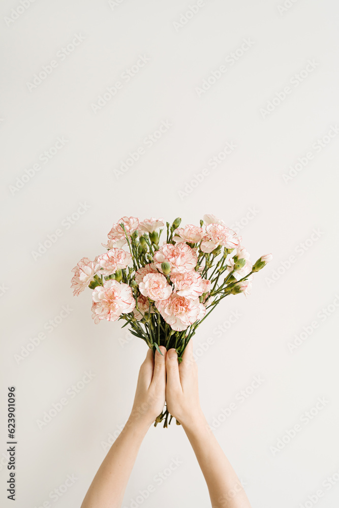 Female hands holding beautiful carnation flowers bouquet. Flat lay, top view. Elegant floral composition