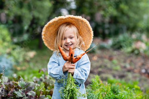 Toddler blond girl in straw hat picking fresh carrots from the garden. Freshly Picked Carrot From The Farm
