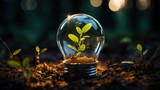 A plant growing inside a lightbulb - renewable energy - climate change 3