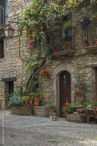 Street with stone houses in the medieval village of Ainsa in the pyrenees  Aragon  Spain