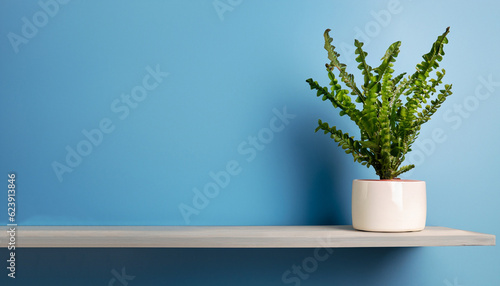 Plant on a shelf and a blue background mock up.