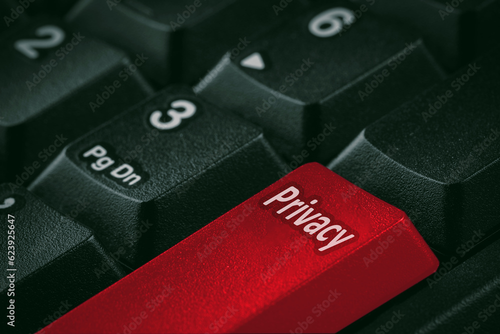 Red button with word Privacy on computer keyboard, closeup Red button with word Privacy on computer keyboard, closeup