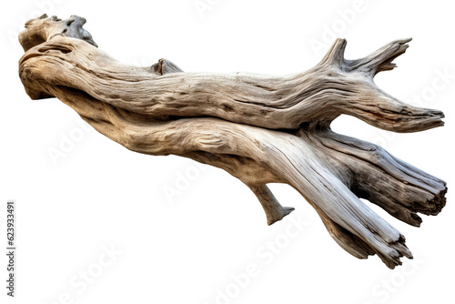 Driftwood. isolated object, transparent background