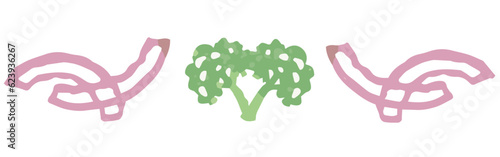 野菜のイラストを使った仕切り・飾り。水彩風、ベクター素材。