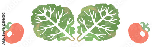 野菜のイラストを使った仕切り・飾り。水彩風、ベクター素材。