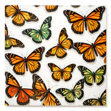 pattern with butterflies,isolated,colorful,black,macro,bug,beauty animal,Ai generated