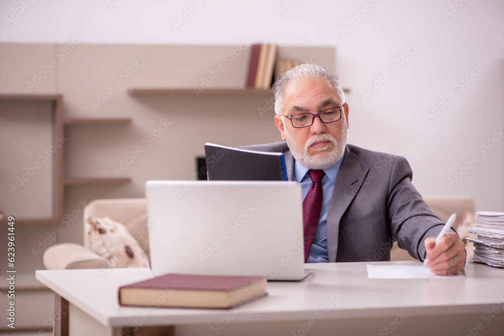 Old male employee working from home during pandemic Old male employee working from home during pandemic