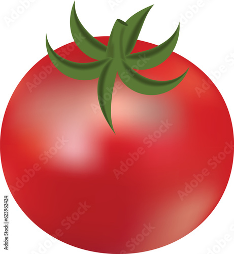 Red ripe tomato on transparent background