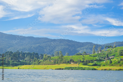 landscape with Gregory Lake in the Nuwara Eliya - Sri Lanka