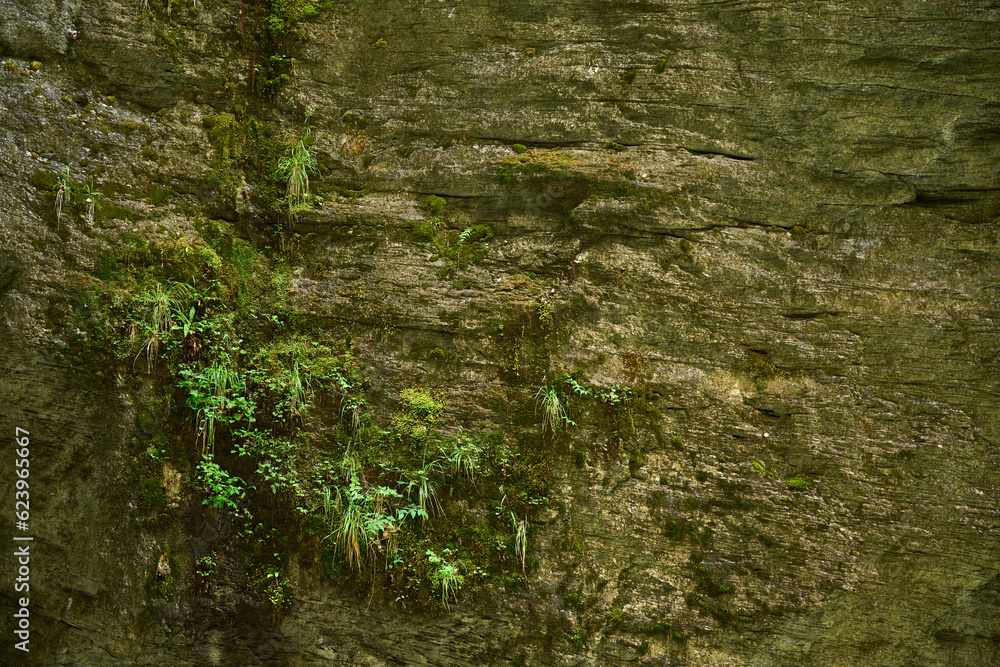Stone wall structure in Aareschlucht in Switzerland Stone wall structure in Aareschlucht in Switzerland