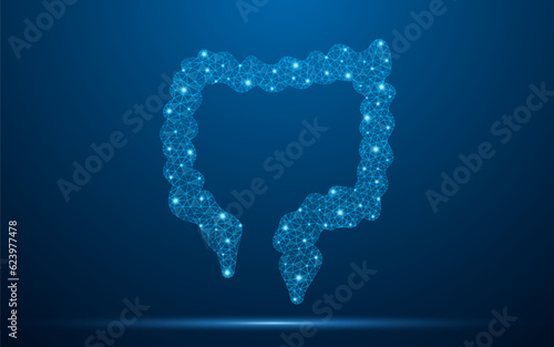Human intestine low poly wireframe with abstract mesh line and dot point. Gastroenterology research concept for colon or rectum. Polygonal wireframe and low poly vector illustration.