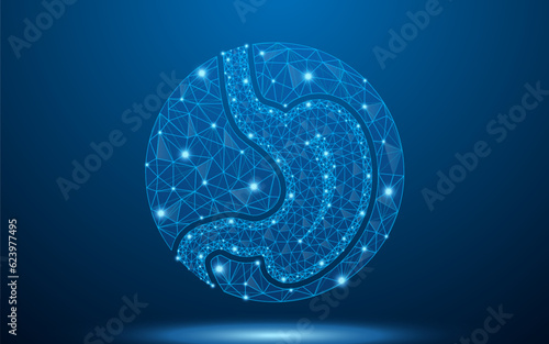 Human stomach digestive organ low poly wireframe with abstract mesh line and dot point. Polygonal wireframe and low poly vector illustration.