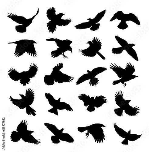 A set of silhouettes birds of prey and seabirds in flight.