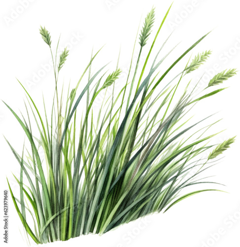 green grass watercolor clipart isolated on white background