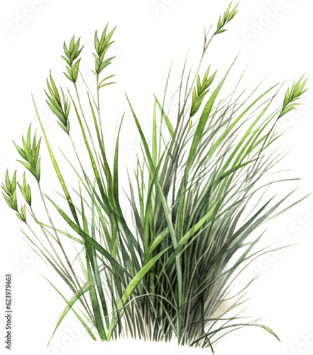 green grass watercolor clipart isolated on white background