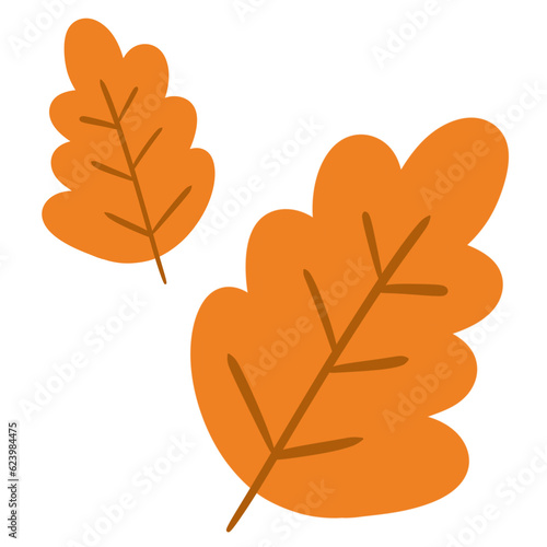 Autumn leaf