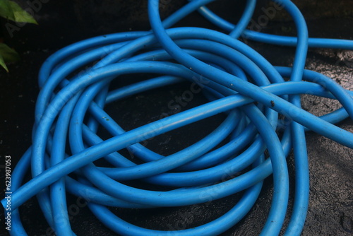 Blue water hose coiled in the yard