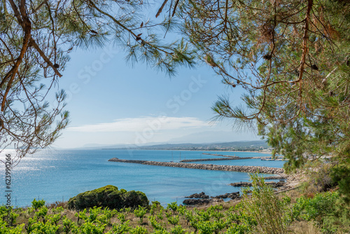 View of the vineyard on the shore, port and Aegean Sea, Kolymvari (Kolymbari), Platanias, Crete, Greece © hivaka