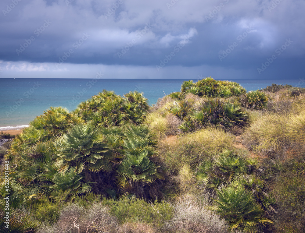 Fototapeta premium Stormy Weather on Calblanque Regional Park, Spain