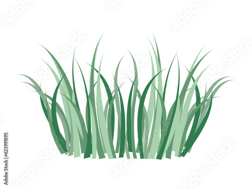 Green grass bush icon isolated on transparent and white background. Element with a bunch of grass close-up for design decoration with nature. Summer vector illustration in cartoon flat style.