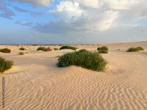 paisaje de las dunas en el parque nacional de Corralejode Corralejo. Fuerteventura. Islas Canarias. España.