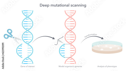 Gene editing double helix DNA concept vector illustration graphic