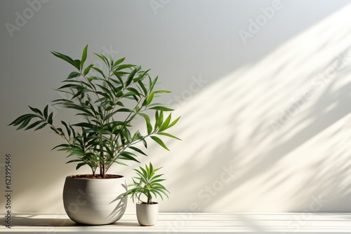 Potted indoor plant on white table. Decorative tree, Generative AI