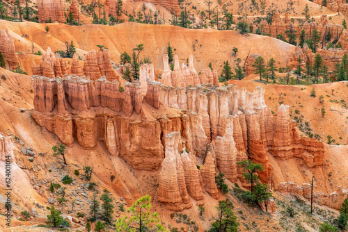 Bryce canyon park in the USA