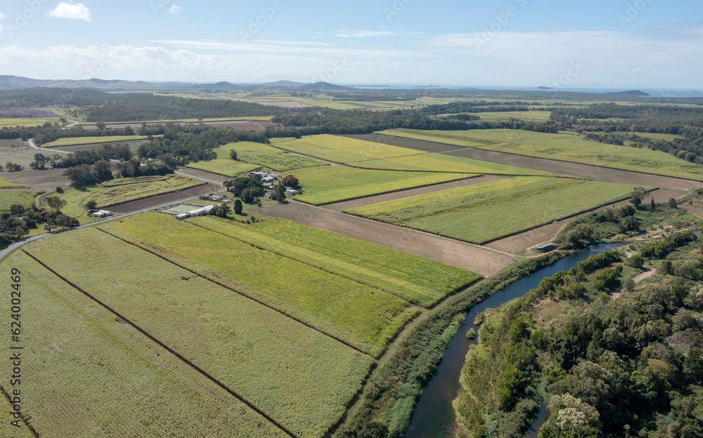 Φωτογραφία sugar cane  crops ready for harvest near the Queensland town of Calen and the St Helens creek