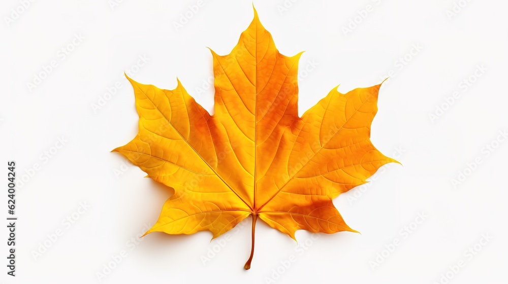 Beautiful Autumn cartoon landscape illustrations,AI generated. Beautiful Autumn cartoon landscape illustrations,AI generated.