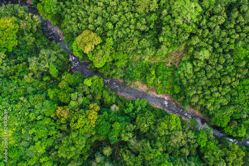 Captivating aerial photo captures the stunning beauty of a river winding its way through lush rainforest.