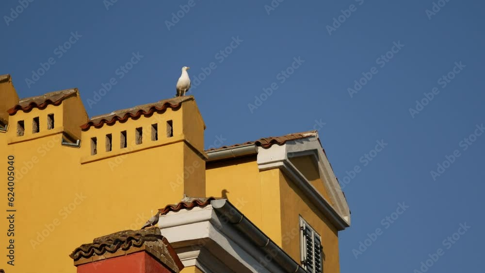 A seagull sits on the roof of an old house in the city center. Blue skies and colorful houses. Tiled roofs and ventilation pipes. Cozy resort town in summer. Rovinj, Croatia - July 7, 2023