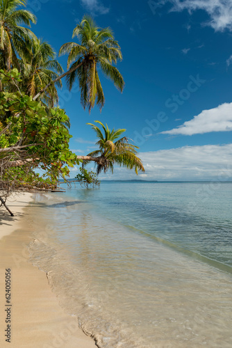 Fototapeta Naklejka Na Ścianę i Meble -  Small island in the Caribbean, Zapatilla key, Bocas del Toro, panama, Central America - stock photo