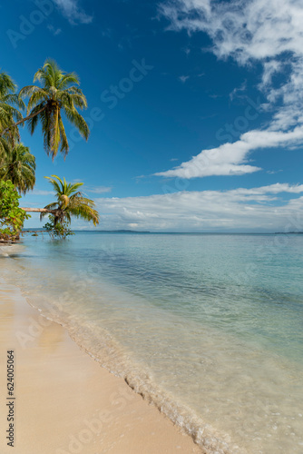 Fototapeta Naklejka Na Ścianę i Meble -  Small beach in the Caribbean, Zapatilla key, Bocas del Toro, Panama, Central America - stock photo