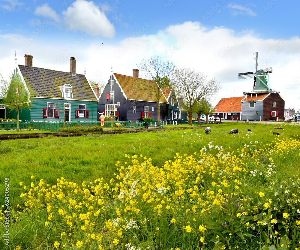   picturesque Dutch village park at Zaanse Schans,   iconic views of the 6 windmills set on on the river Zaan,  amsterdam, holland, netherlands