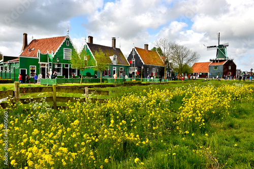   picturesque Dutch village park at Zaanse Schans,   iconic views of the 6 windmills set on on the river Zaan,  amsterdam, holland, netherlands photo