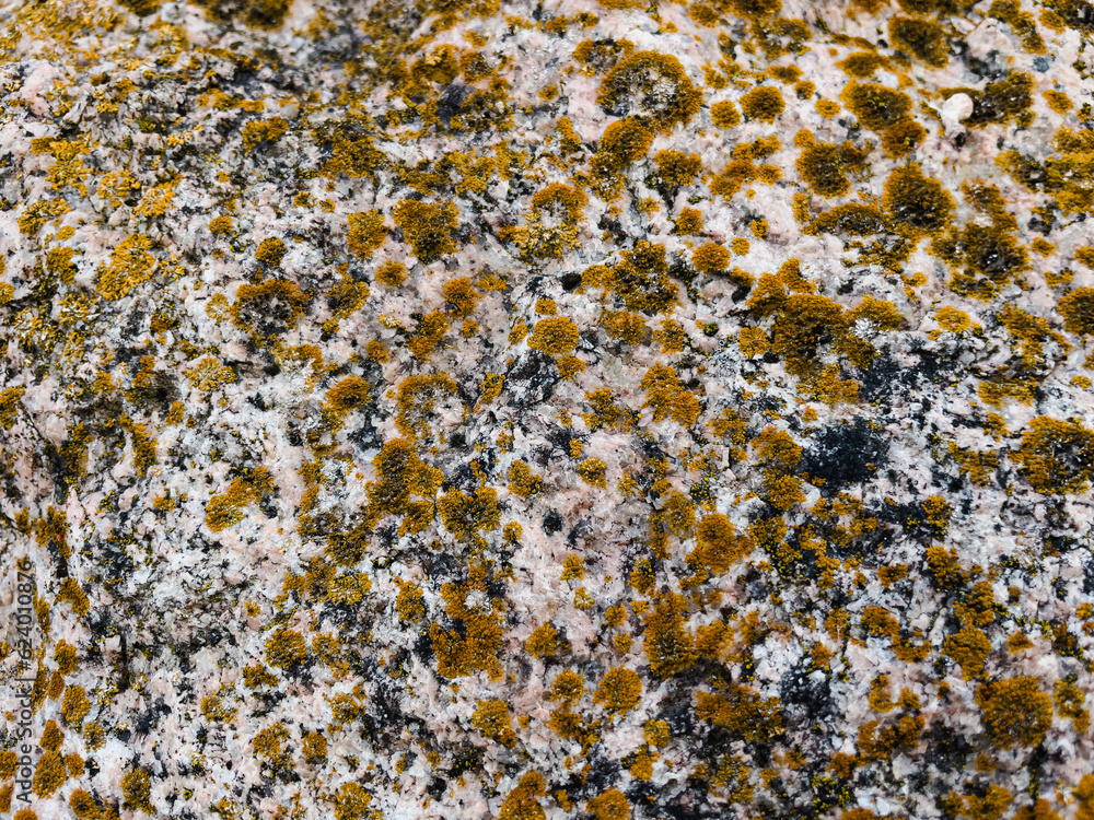 texture of stone with yellow moss close up texture of stone with yellow moss close up