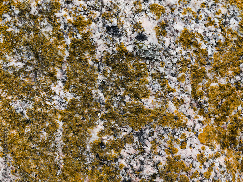 texture of stone with yellow moss close up