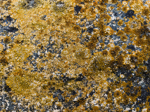 texture of stone with yellow moss close up