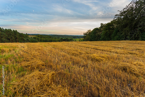 View of the mowed field. Kashubian, Poland. photo