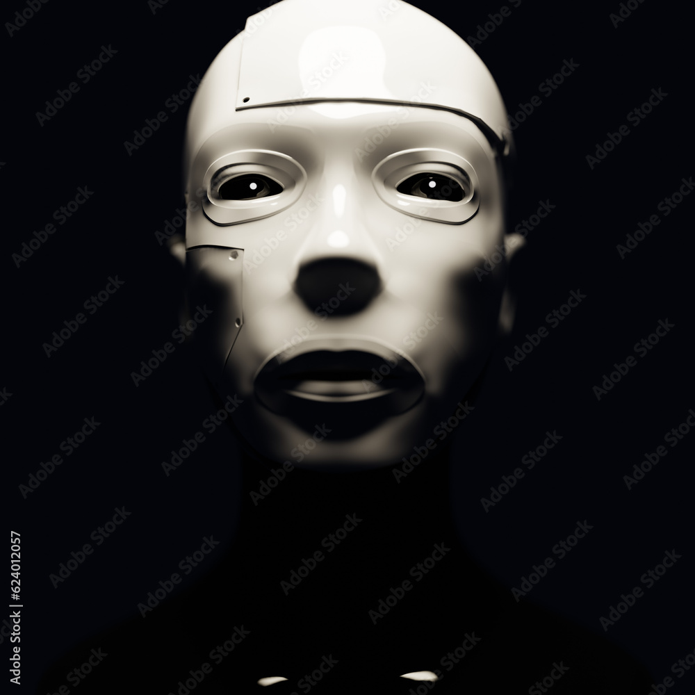 Humanoid Robot Face Humanoid Robot Face