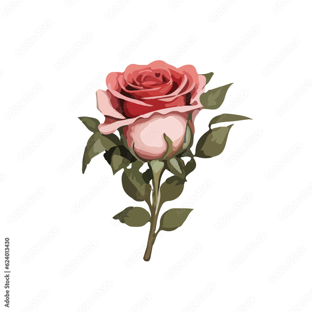 set of rose set of rose