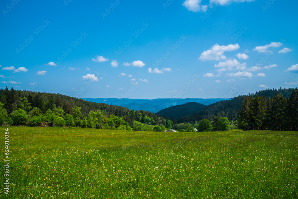 Germany, Beautiful black forest schwarzwald nature landscape panorama view, green forest mountains and meadows, summer with sun