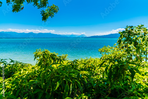 Germany, bodensee lake constance panorama view, sunny day, sailboats in paradise nature landscape, water sports, green plants with sun