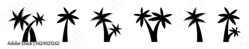 Set of palm tree vector icons. Black silhouette with coconut trees. Vector 10 Eps.